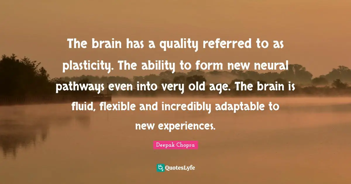 New Experiences Quotes: "The brain has a quality referred to as plasticity. The ability to form new neural pathways even into very old age. The brain is fluid, flexible and incredibly adaptable to new experiences."