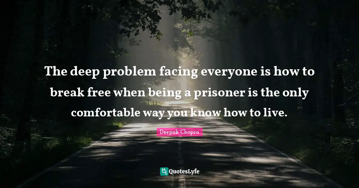 The deep problem facing everyone is how to break free when being a prisoner is the only comfortable way you know how to live.