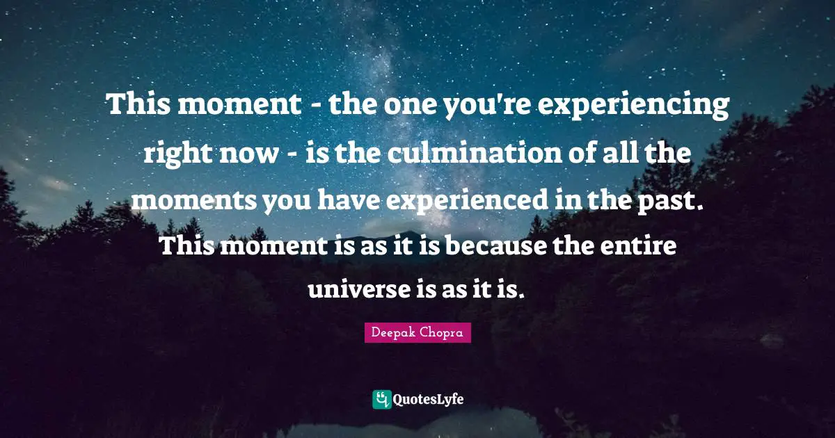 Culmination Quotes: "This moment - the one you're experiencing right now - is the culmination of all the moments you have experienced in the past. This moment is as it is because the entire universe is as it is."