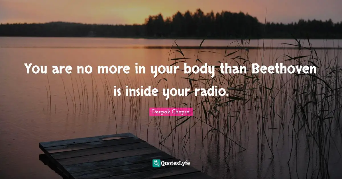 You are no more in your body than Beethoven is inside your radio.