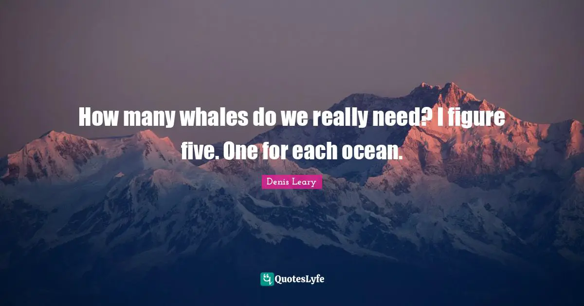 Denis Leary Quotes: How many whales do we really need? I figure five. One for each ocean.