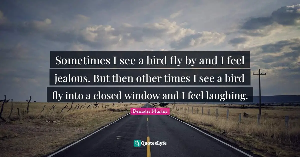 Sometimes I see a bird fly by and I feel jealous. But then other times I see a bird fly into a closed window and I feel laughing.