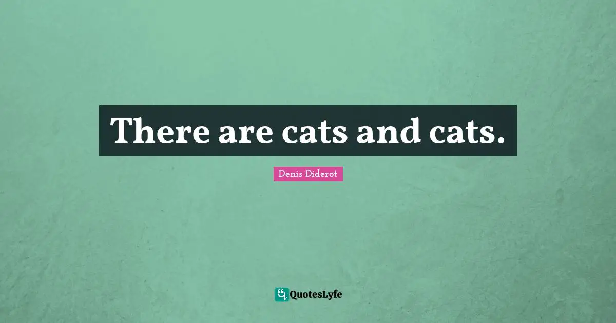 There are cats and cats.