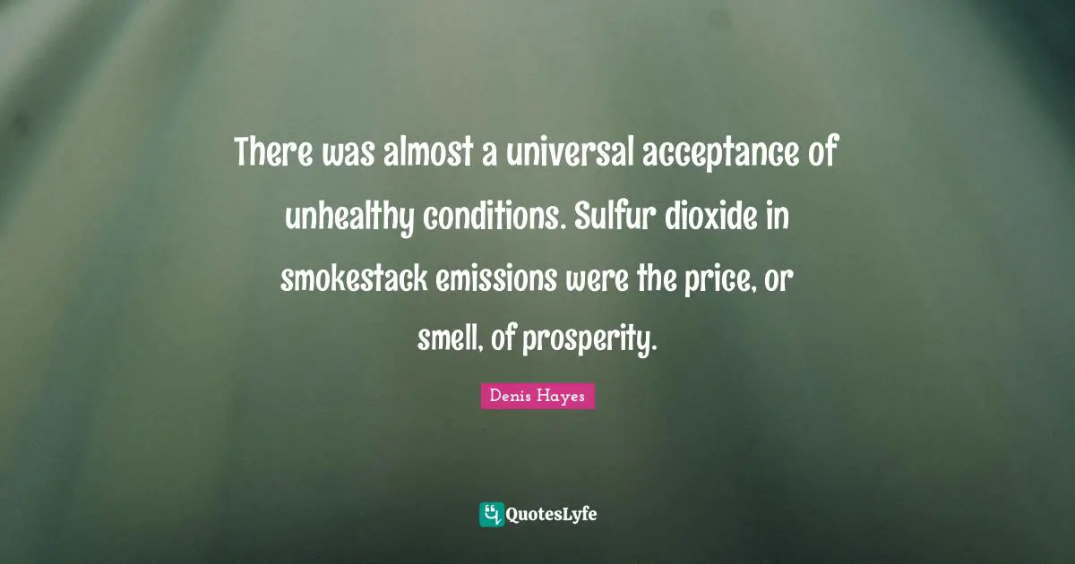 There was almost a universal acceptance of unhealthy conditions. Sulfur dioxide in smokestack emissions were the price, or smell, of prosperity.