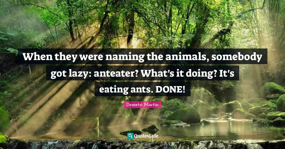 When they were naming the animals, somebody got lazy: anteater? What's it doing? It's eating ants. DONE!