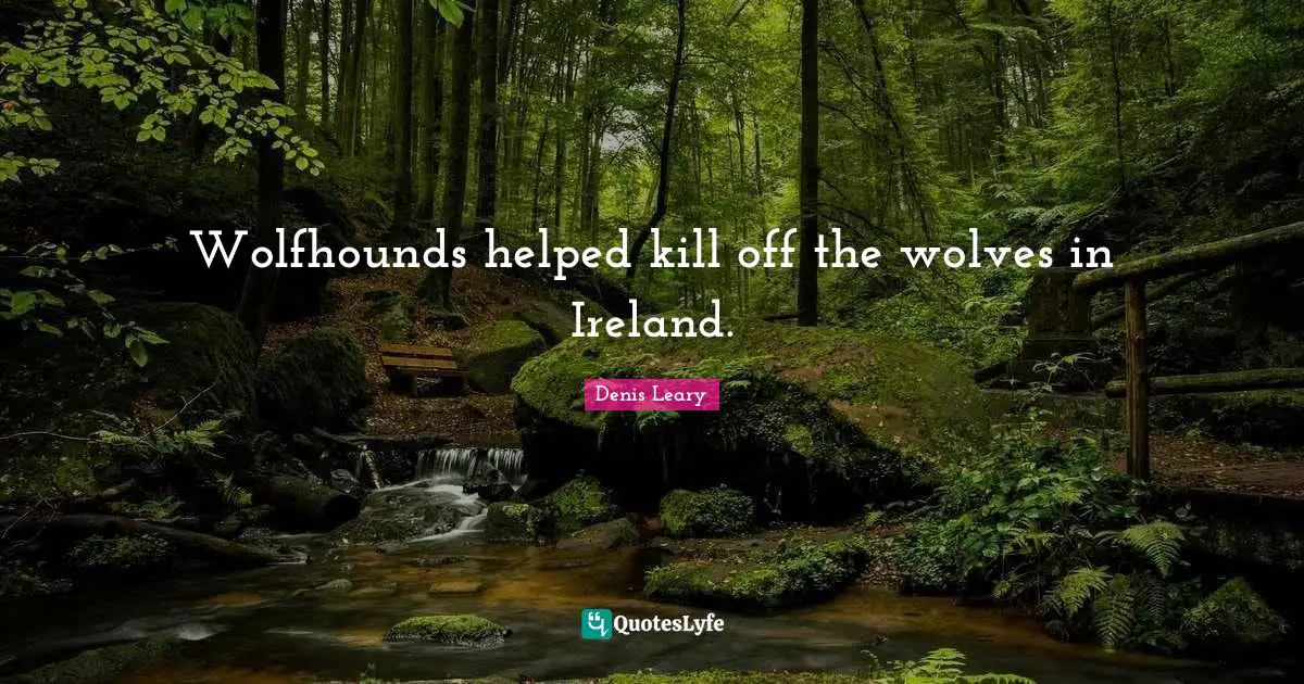 Wolfhounds helped kill off the wolves in Ireland.