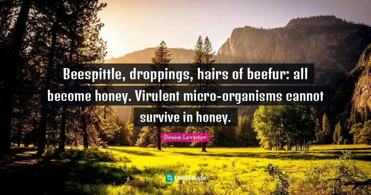 Beespittle, droppings, hairs of beefur: all become honey. Virulent micro-organisms cannot survive in honey.
