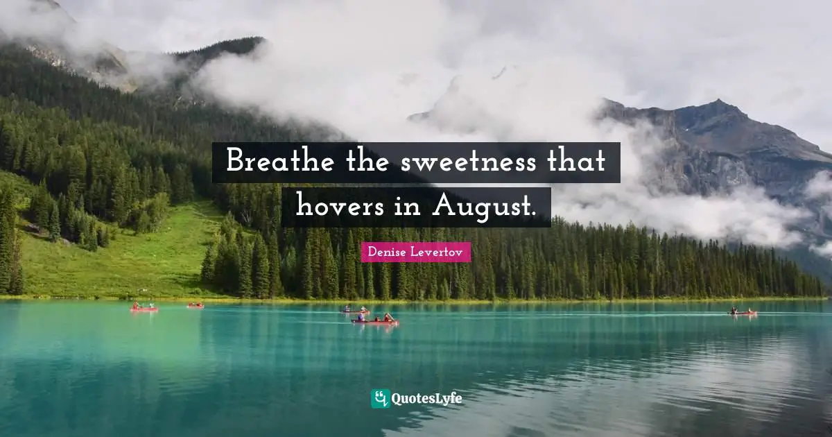 Breathe the sweetness that hovers in August.