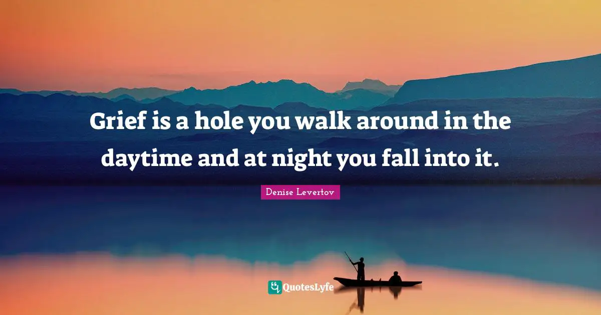 Grief is a hole you walk around in the daytime and at night you fall into it.