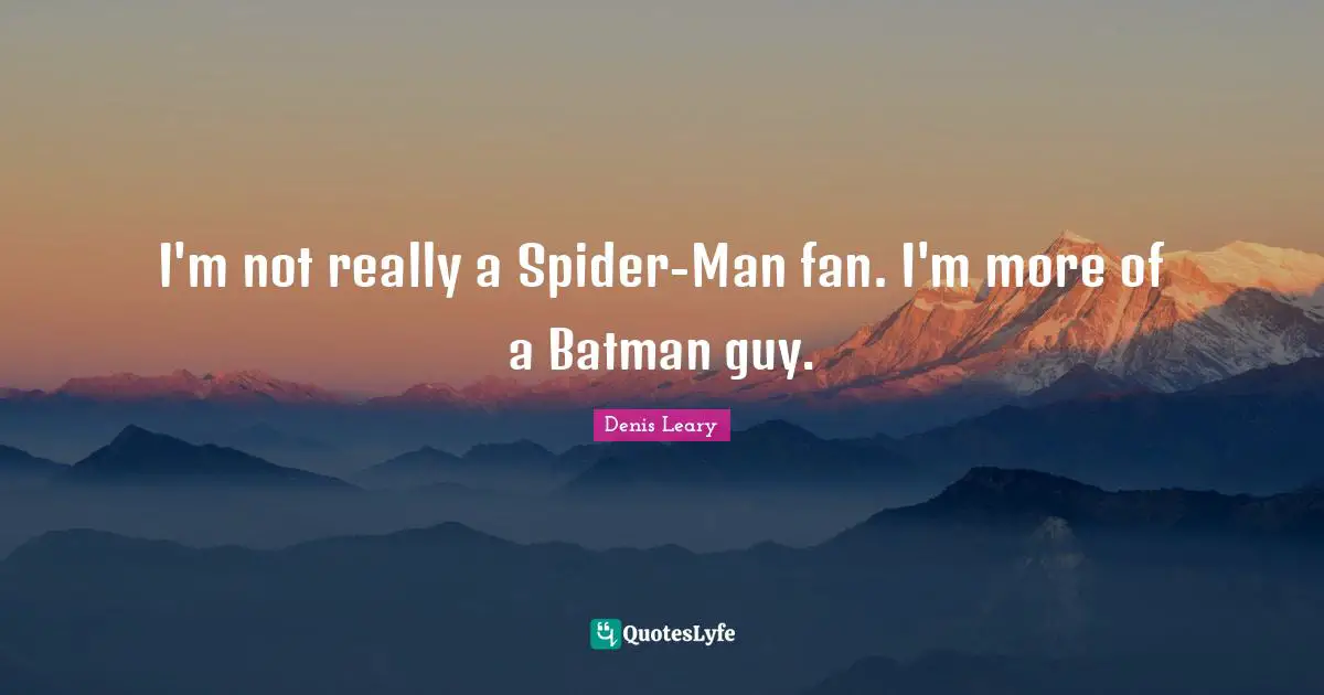 I'm not really a Spider-Man fan. I'm more of a Batman guy.