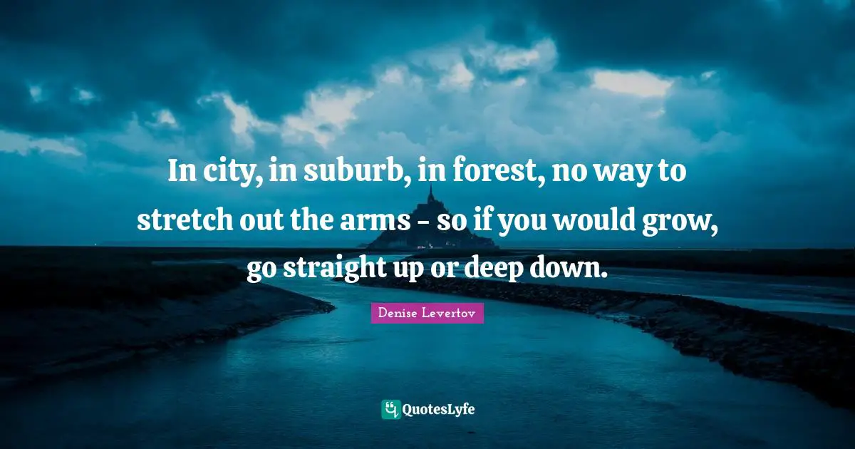 In city, in suburb, in forest, no way to stretch out the arms - so if you would grow, go straight up or deep down.