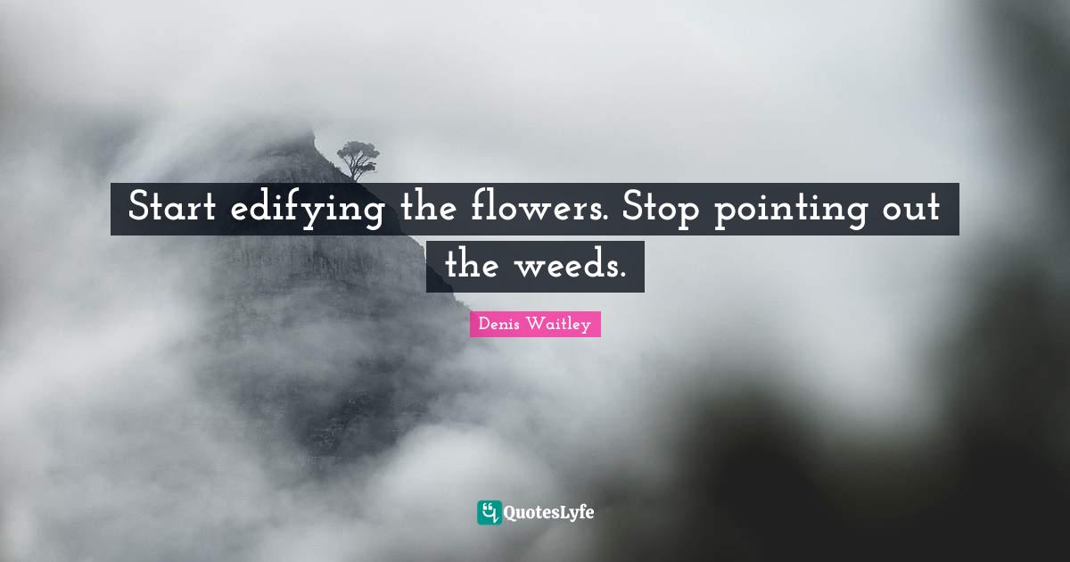 Start edifying the flowers. Stop pointing out the weeds.