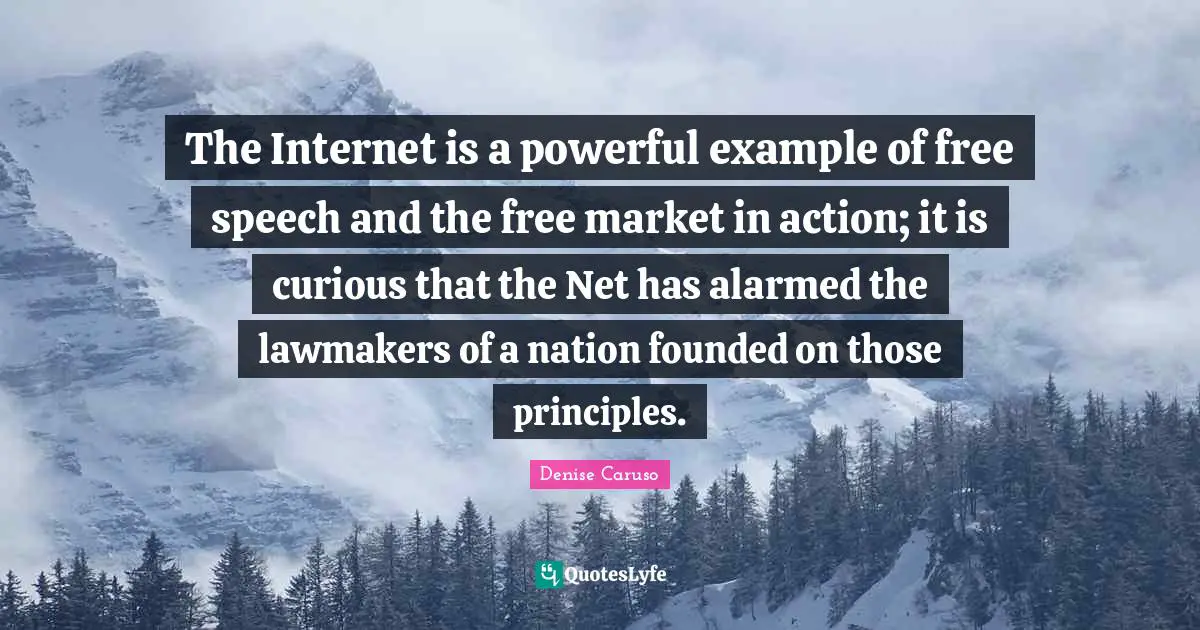 The Internet is a powerful example of free speech and the free market in action; it is curious that the Net has alarmed the lawmakers of a nation founded on those principles.