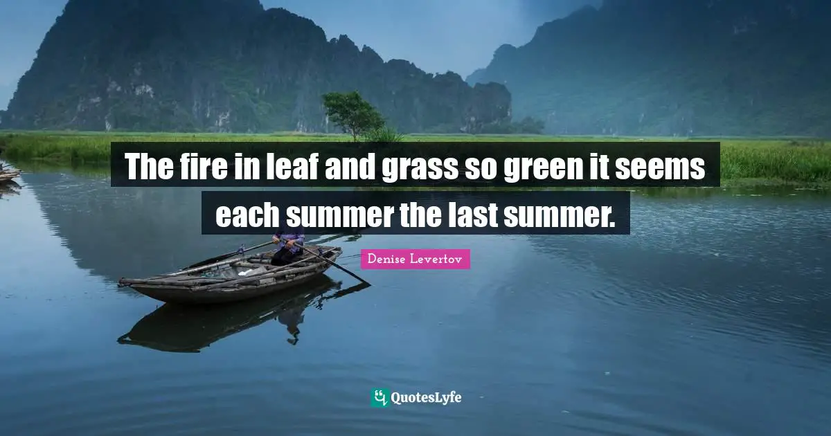 The fire in leaf and grass so green it seems each summer the last summer.