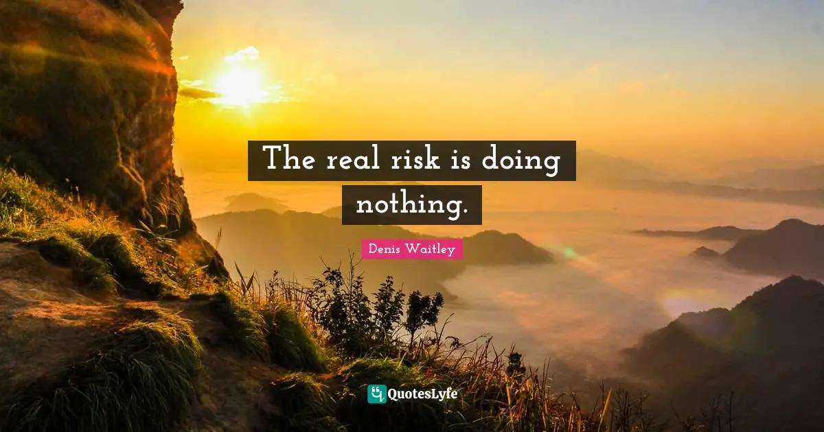 Denis Waitley Quotes: "The real risk is doing nothing."