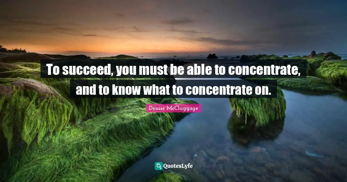 To succeed, you must be able to concentrate, and to know what to concentrate on.