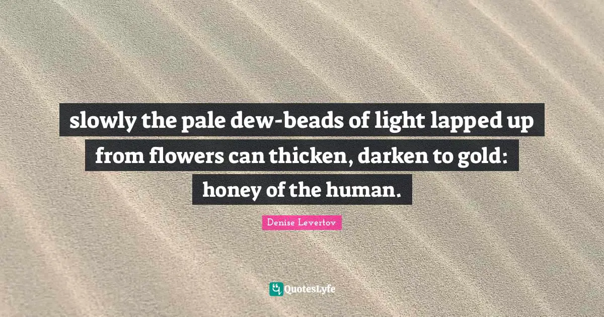 slowly the pale dew-beads of light lapped up from flowers can thicken, darken to gold: honey of the human.