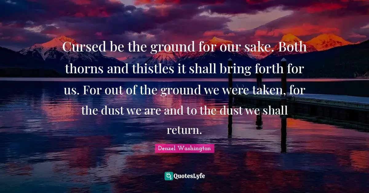 Denzel Washington Quotes: "Cursed be the ground for our sake. Both thorns and thistles it shall bring forth for us. For out of the ground we were taken, for the dust we are and to the dust we shall return."