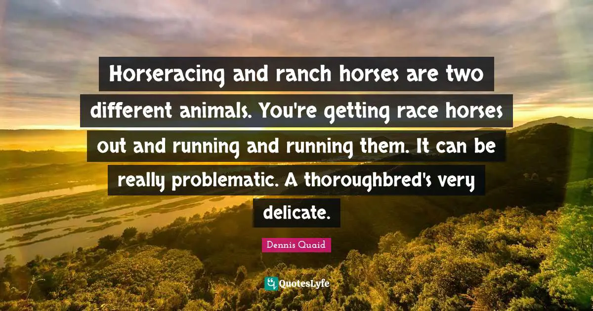 Horseracing and ranch horses are two different animals. You're getting race horses out and running and running them. It can be really problematic. A thoroughbred's very delicate.