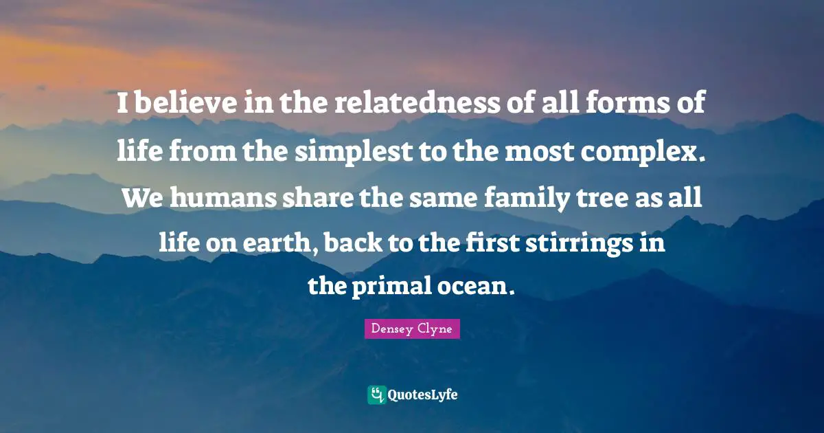 I believe in the relatedness of all forms of life from the simplest to the most complex. We humans share the same family tree as all life on earth, back to the first stirrings in the primal ocean.