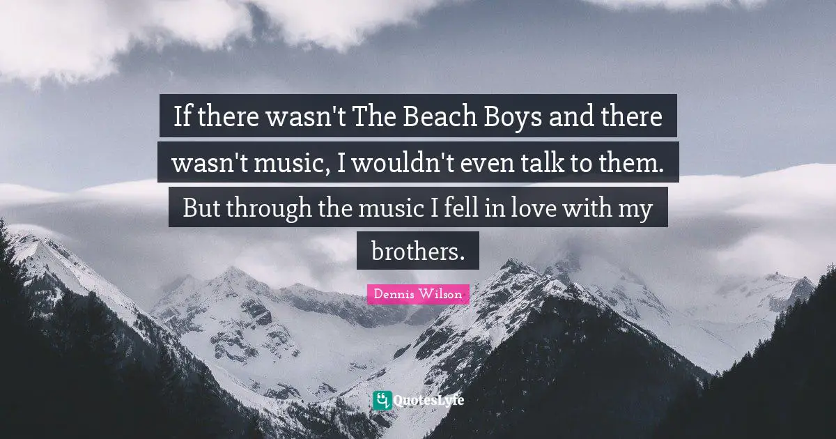 If there wasn't The Beach Boys and there wasn't music, I wouldn't even talk to them. But through the music I fell in love with my brothers.