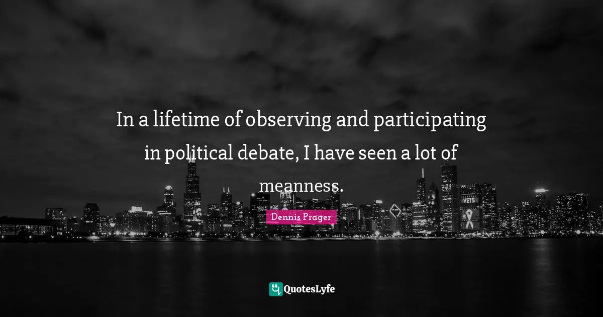 In a lifetime of observing and participating in political debate, I have seen a lot of meanness.