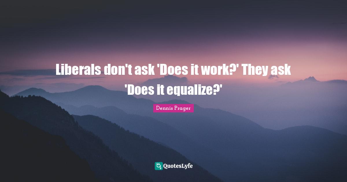 Liberals don't ask 'Does it work?' They ask 'Does it equalize?'