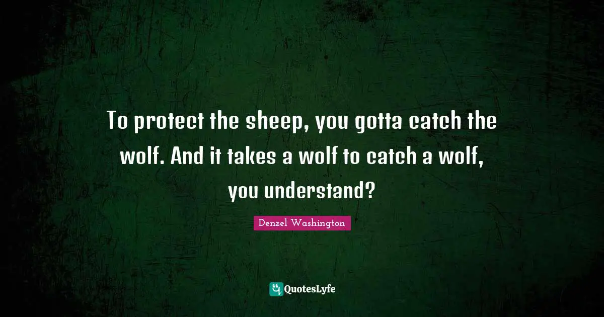 To protect the sheep, you gotta catch the wolf. And it takes a wolf to catch a wolf, you understand?