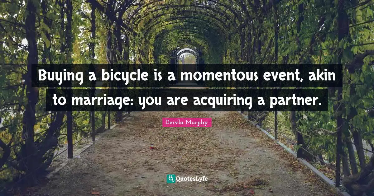 Buying a bicycle is a momentous event, akin to marriage: you are acquiring a partner.