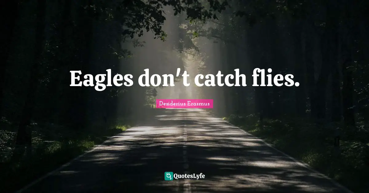 Eagles don't catch flies.