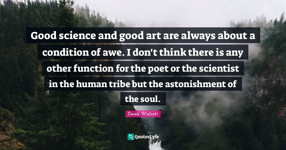 Function Quotes: "Good science and good art are always about a condition of awe. I don't think there is any other function for the poet or the scientist in the human tribe but the astonishment of the soul."