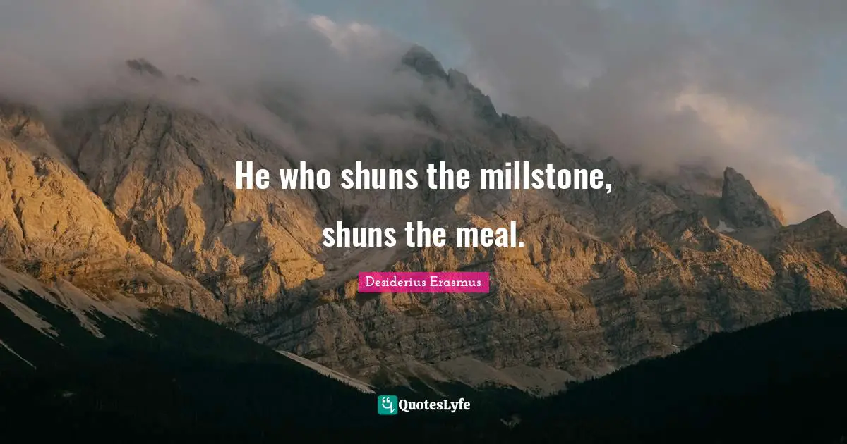He who shuns the millstone, shuns the meal.
