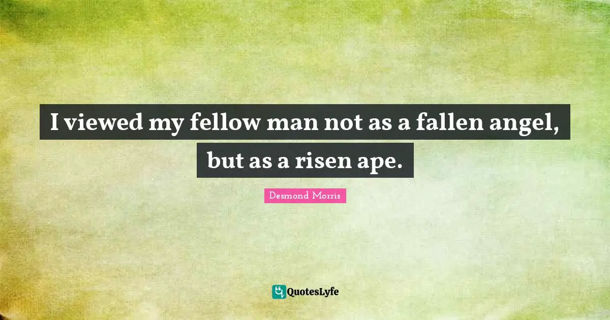 I viewed my fellow man not as a fallen angel, but as a risen ape.