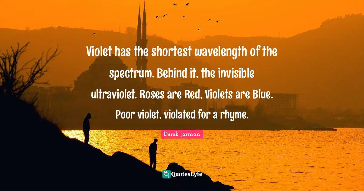Rose Quotes: "Violet has the shortest wavelength of the spectrum. Behind it, the invisible ultraviolet. Roses are Red, Violets are Blue. Poor violet, violated for a rhyme."