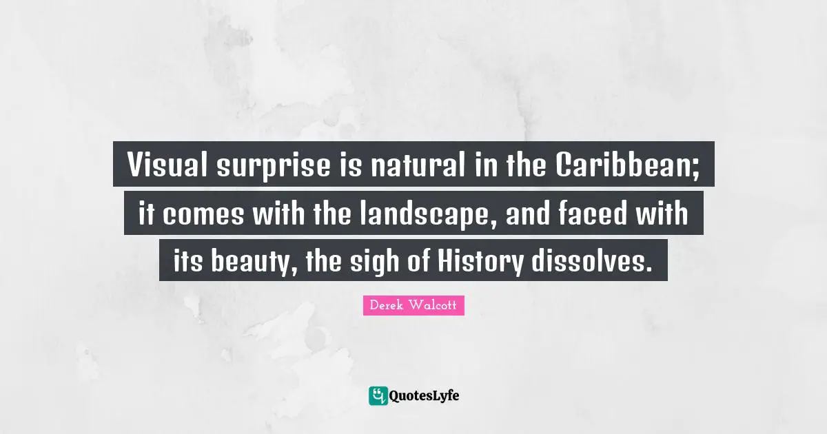 Visual surprise is natural in the Caribbean; it comes with the landscape, and faced with its beauty, the sigh of History dissolves.