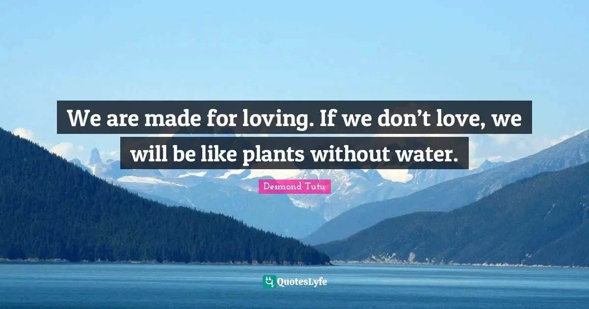 We are made for loving. If we don’t love, we will be like plants without water.