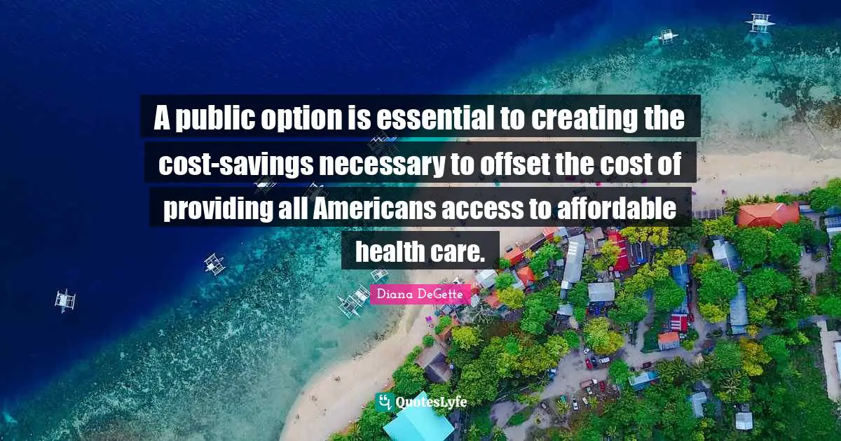 Health Care Quotes: "A public option is essential to creating the cost-savings necessary to offset the cost of providing all Americans access to affordable health care."