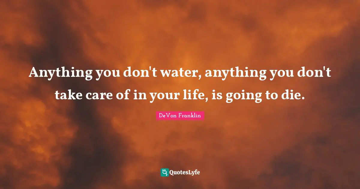 Anything you don't water, anything you don't take care of in your life, is going to die.