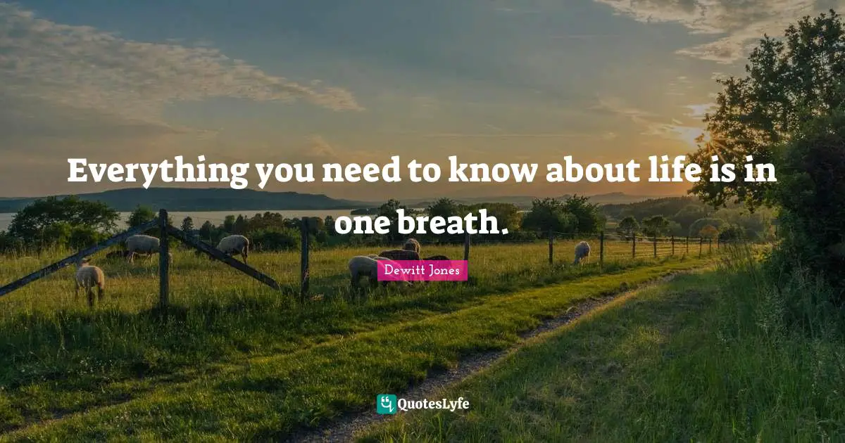 Dewitt Jones Quotes: Everything you need to know about life is in one breath.