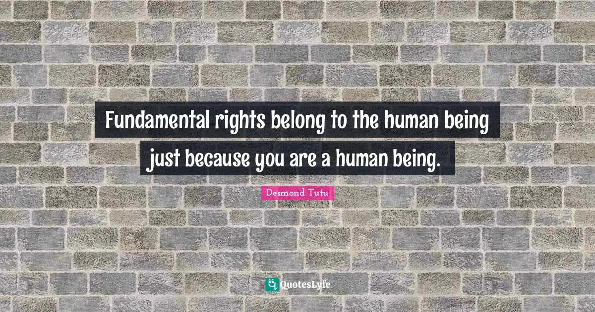 Fundamental rights belong to the human being just because you are a human being.