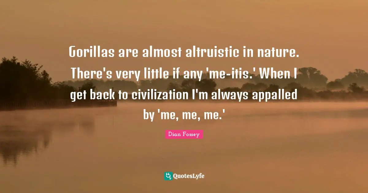 Gorillas are almost altruistic in nature. There's very little if any 'me-itis.' When I get back to civilization I'm always appalled by 'me, me, me.'