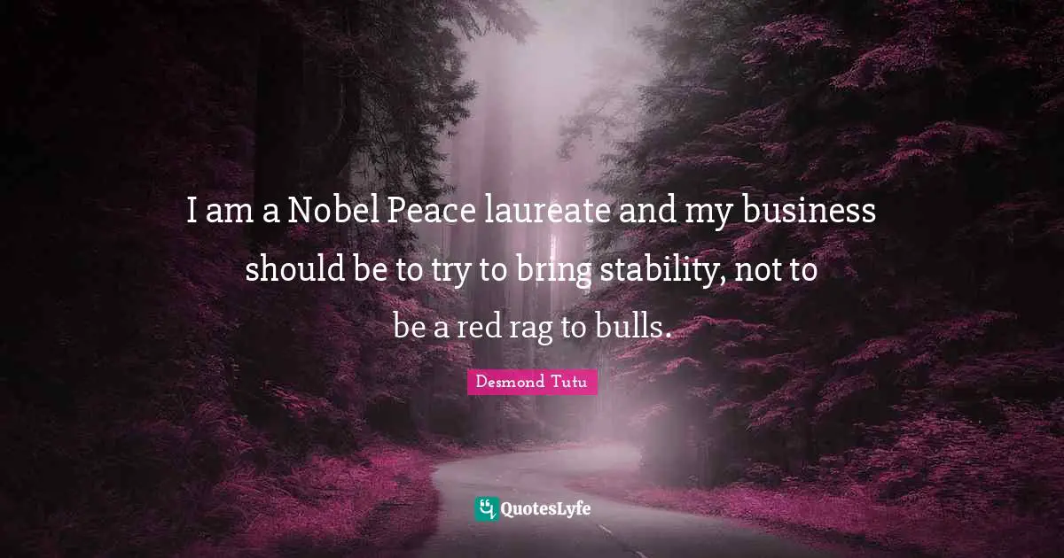 I am a Nobel Peace laureate and my business should be to try to bring stability, not to be a red rag to bulls.