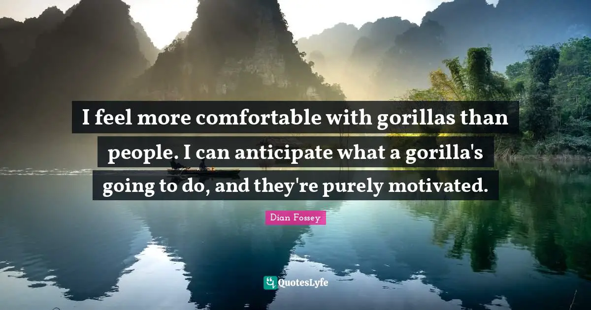 Comfortable Quotes: "I feel more comfortable with gorillas than people. I can anticipate what a gorilla's going to do, and they're purely motivated."
