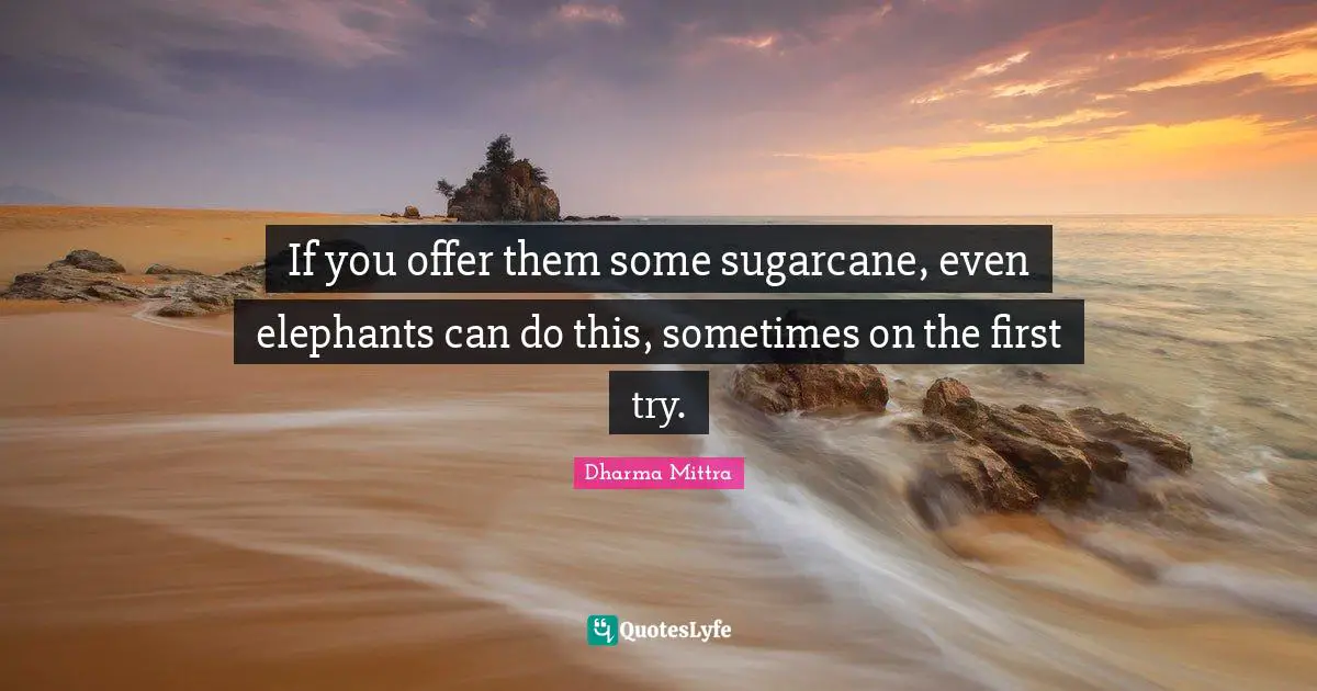 Dharma Mittra Quotes: "If you offer them some sugarcane, even elephants can do this, sometimes on the first try."