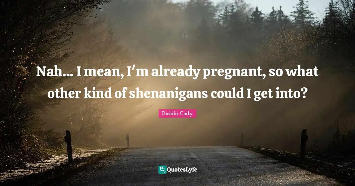 Diablo Cody Quotes: Nah... I mean, I'm already pregnant, so what other kind of shenanigans could I get into?