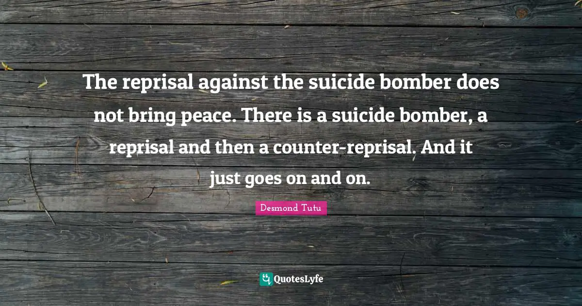 The reprisal against the suicide bomber does not bring peace. There is a suicide bomber, a reprisal and then a counter-reprisal. And it just goes on and on.