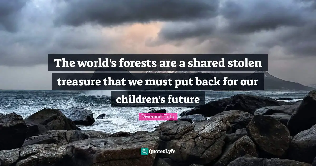 The world's forests are a shared stolen treasure that we must put back for our children's future