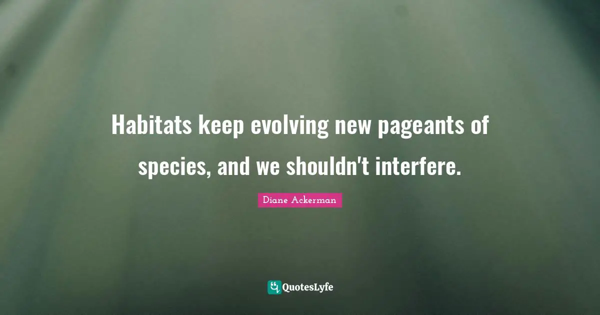 Habitat Quotes: "Habitats keep evolving new pageants of species, and we shouldn't interfere."