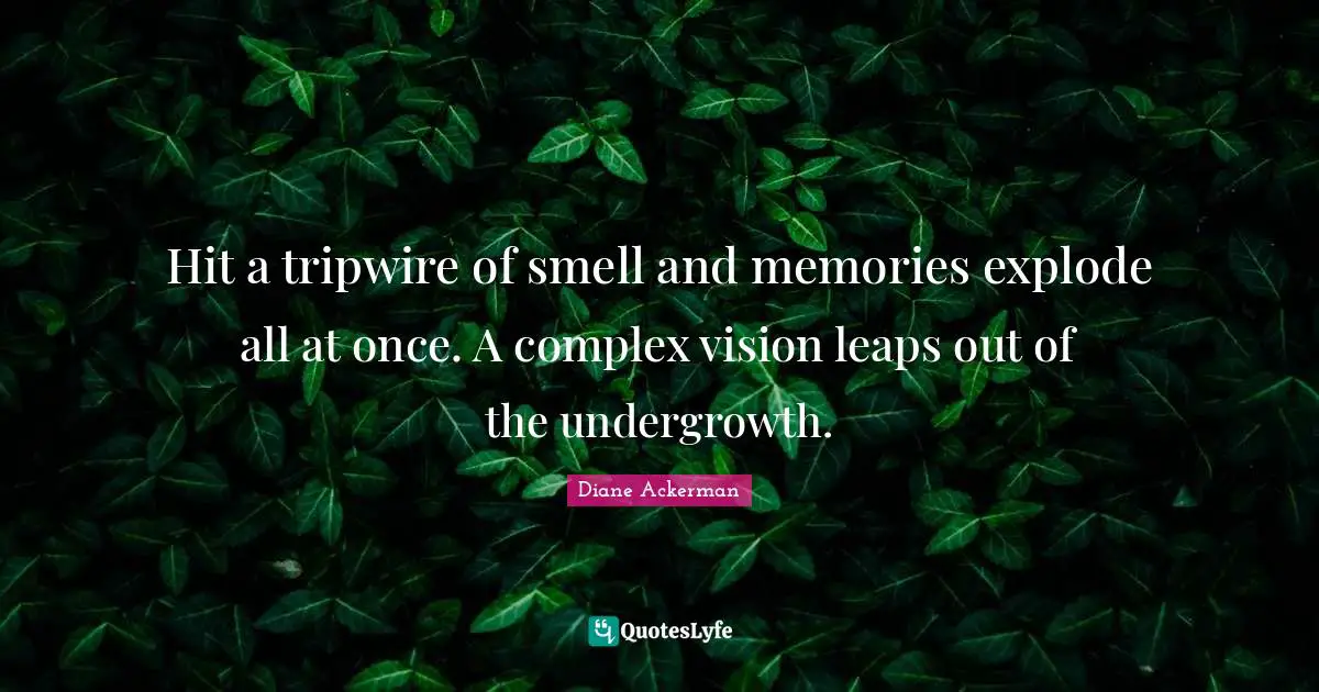 Hit a tripwire of smell and memories explode all at once. A complex vision leaps out of the undergrowth.