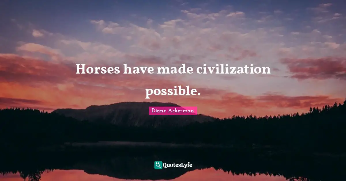 Horses have made civilization possible.